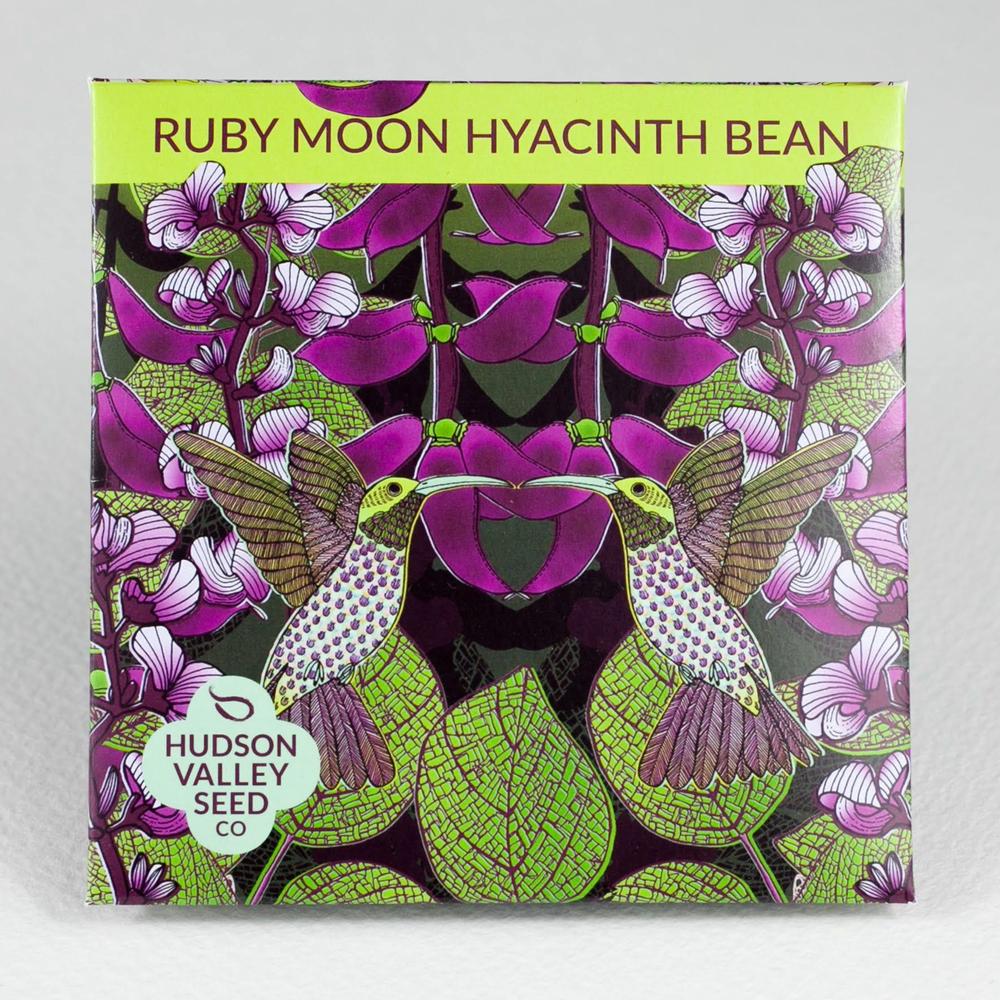 HV Ruby Moon Hyacinth Bean